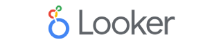 Looker Data Studio Logo