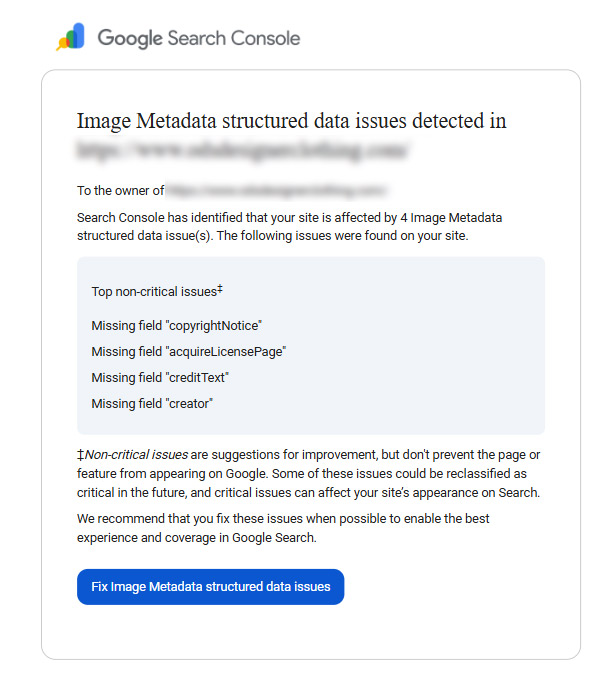 Image metadata structured data issues warning
