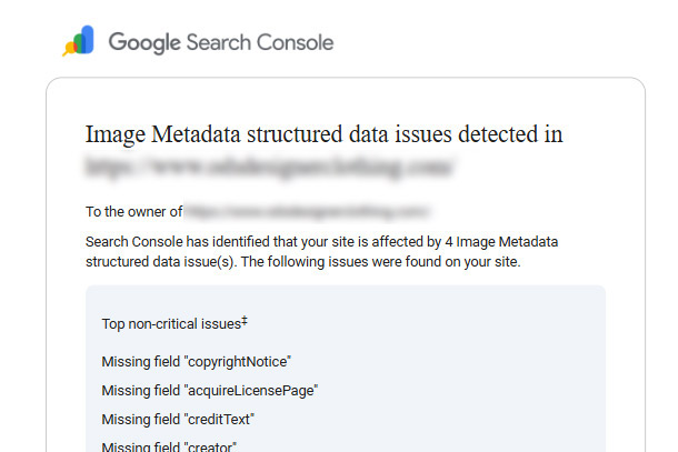Structured Metadata Warning