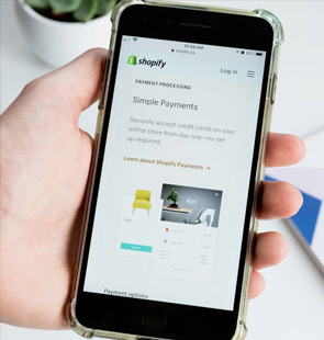 Shopify Web Build Service