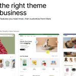 Understand the risks before implementing a new shopify theme
