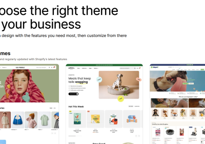 Understand the risks before implementing a new shopify theme