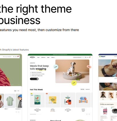 Understand the risks before implementing a new shopify theme